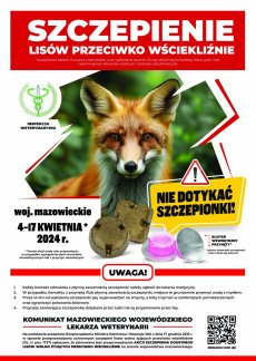 Plakat akcja szczepienia lisów przeciwko wściekliźnie - wiosna 2024 