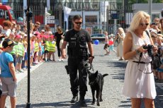 Dzień Dziecka na Dziedzińcu MUW