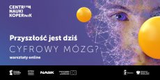 Grafika warsztatów 