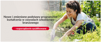 Nowe podstawy programowe dla wybranych zawodów